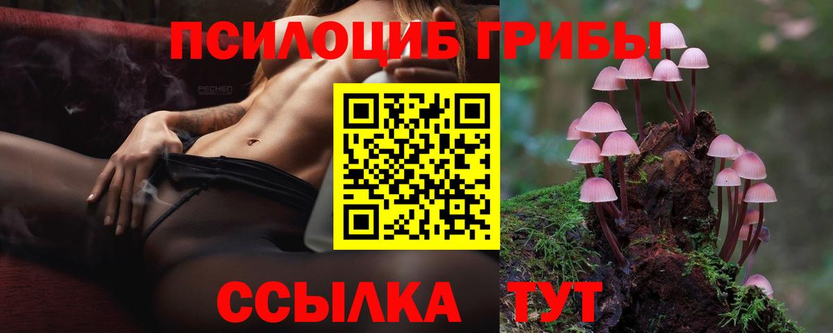 Галлюциногенные грибы Psilocybine cubensis Сухой Лог